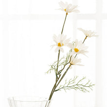 Load image into Gallery viewer, BloesemTakken  Flowers