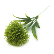 Load image into Gallery viewer, Flowers Dandelion