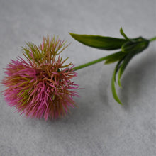 Load image into Gallery viewer, Flowers Dandelion