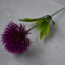 Load image into Gallery viewer, Flowers Dandelion